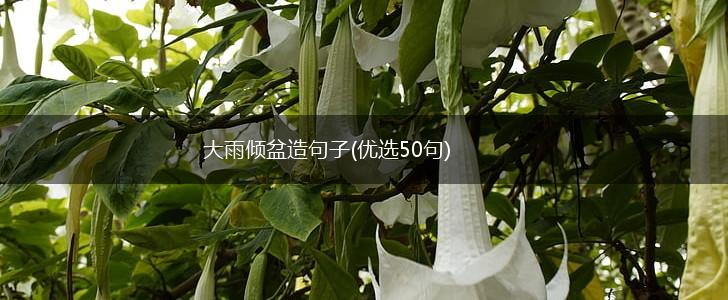 大雨倾盆造句子(优选50句),第1张