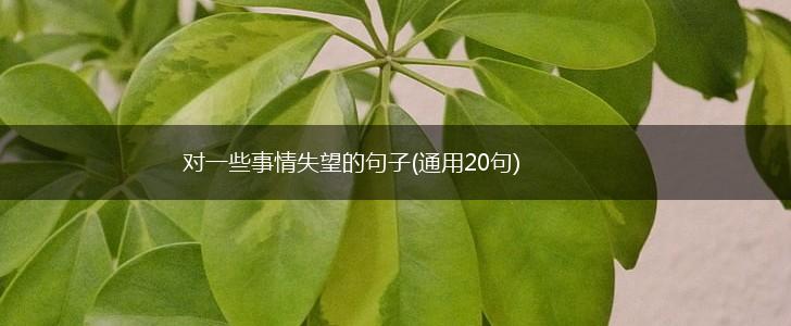 对一些事情失望的句子(通用20句),第1张