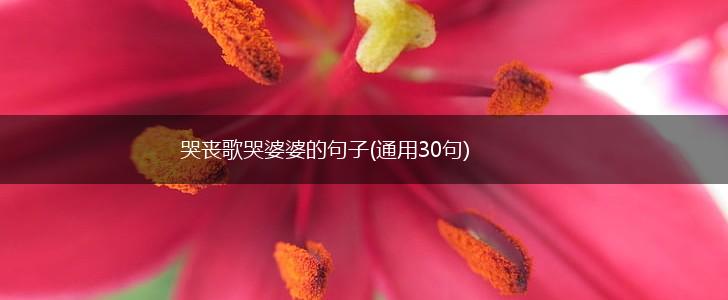 哭丧歌哭婆婆的句子(通用30句),第1张