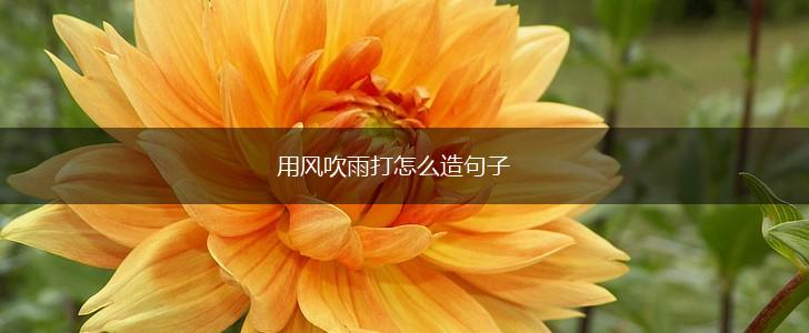 用风吹雨打怎么造句子,第1张 用风吹雨打怎么造句子,第1张