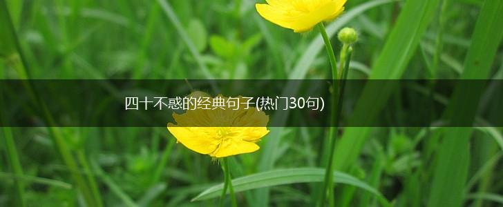 四十不惑的经典句子(热门30句),第1张