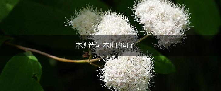 本班造句 本班的句子,第1张