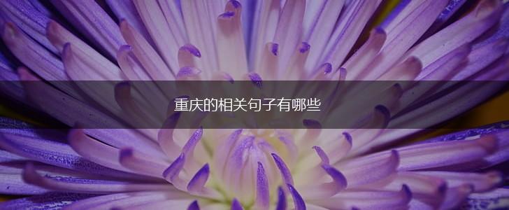 重庆的相关句子有哪些,第1张