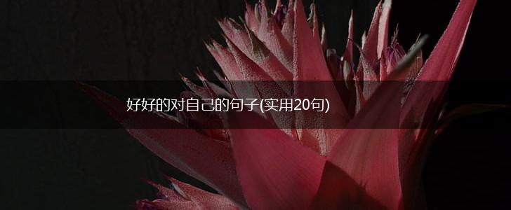 好好的对自己的句子(实用20句),第1张