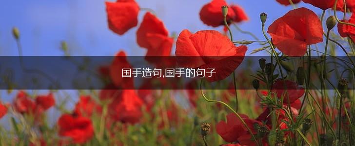 国手造句,国手的句子,第1张 国手造句,国手的句子,第1张