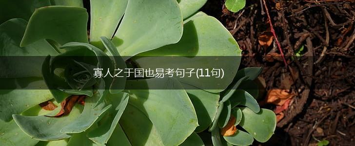 寡人之于国也易考句子(11句),第1张