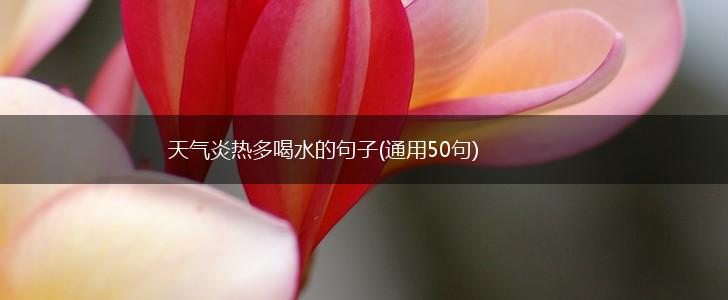 天气炎热多喝水的句子(通用50句),第1张