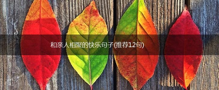 和亲人相聚的快乐句子(推荐12句),第1张