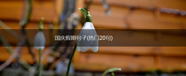 国庆假期句子(热门20句),第1张