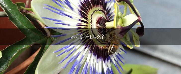 不利造句怎么造,第1张