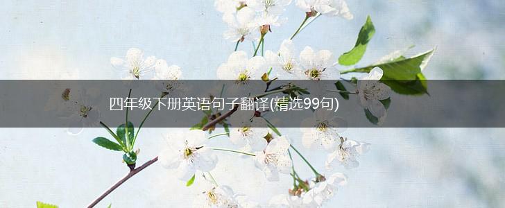 四年级下册英语句子翻译(精选99句),第1张