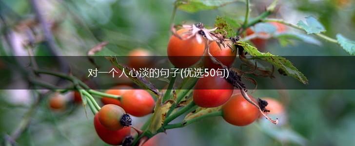 对一个人心淡的句子(优选50句),第1张