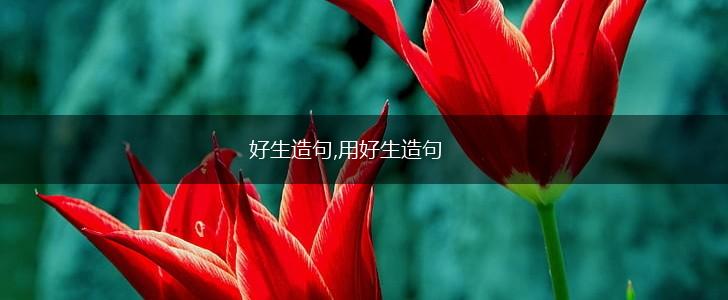 好生造句,用好生造句,第1张 好生造句,用好生造句,第1张