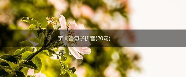 字词语句子拼音(20句),第1张