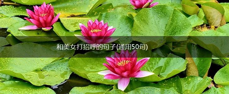 和美女打招呼的句子(通用50句),第1张