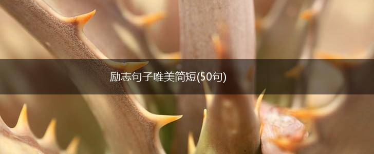 励志句子唯美简短(50句),第1张