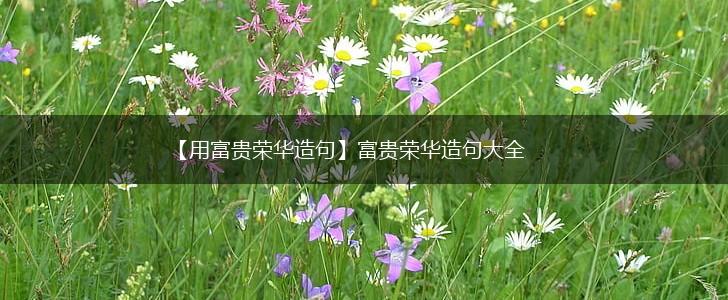 【用富贵荣华造句】富贵荣华造句大全,第1张 【用富贵荣华造句】富贵荣华造句大全,第1张