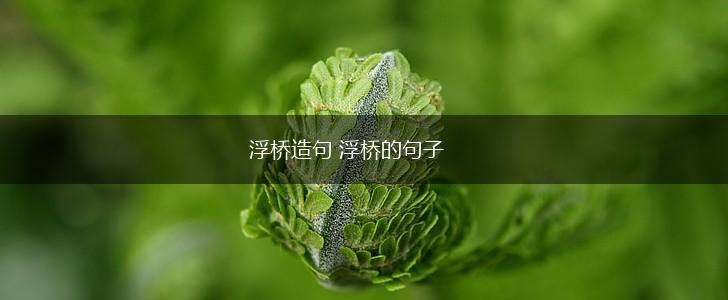 浮桥造句 浮桥的句子,第1张 浮桥造句 浮桥的句子,第1张