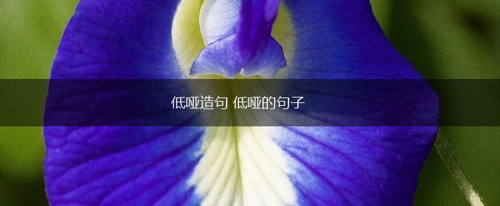 低哑造句 低哑的句子,第1张