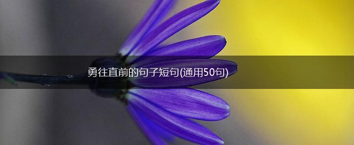 勇往直前的句子短句(通用50句),第1张