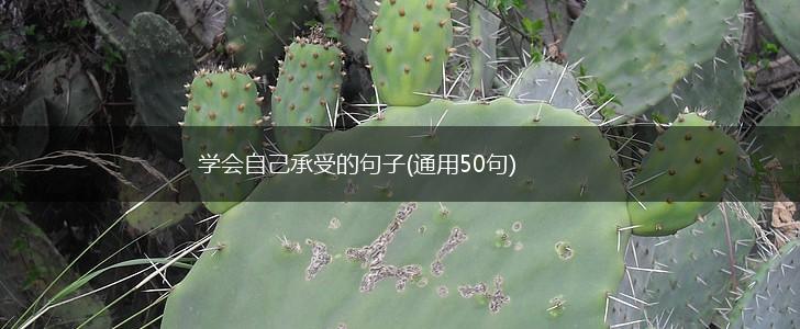 学会自己承受的句子(通用50句),第1张