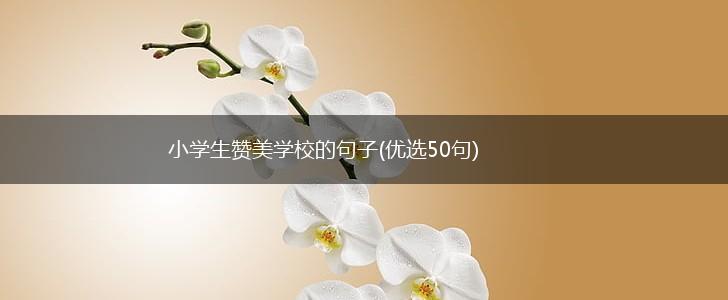 小学生赞美学校的句子(优选50句),第1张