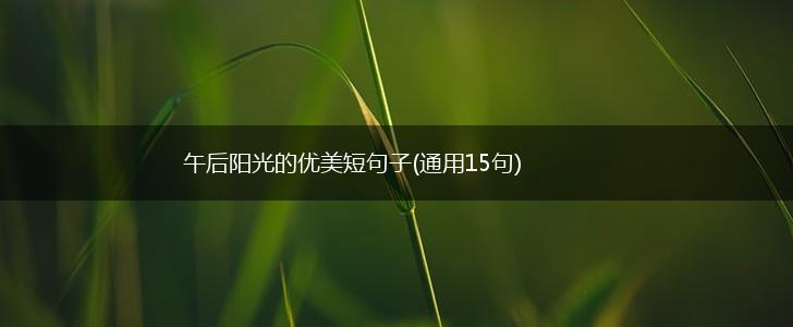 午后阳光的优美短句子(通用15句),第1张