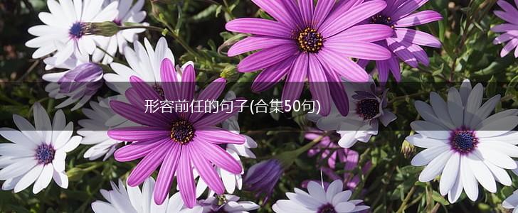形容前任的句子(合集50句),第1张