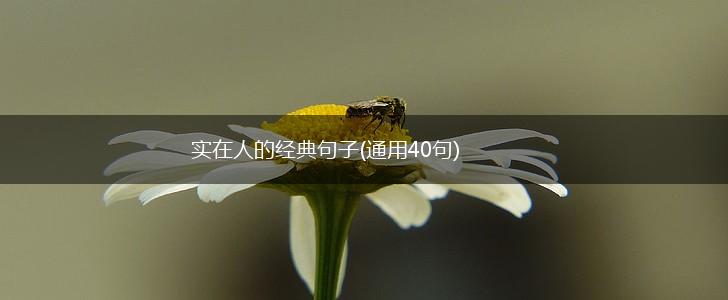 实在人的经典句子(通用40句),第1张