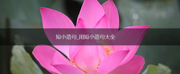 短小造句_用短小造句大全,第1张 短小造句_用短小造句大全,第1张