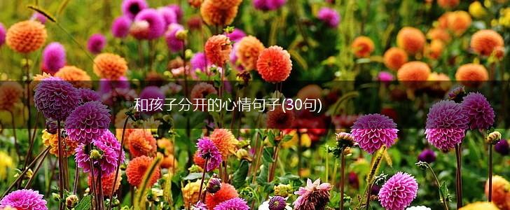 和孩子分开的心情句子(30句),第1张