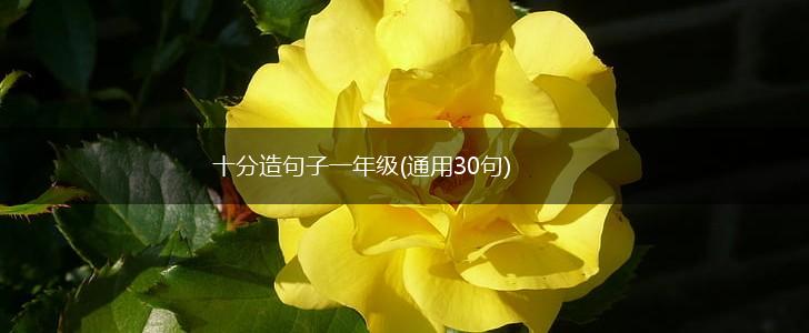 十分造句子一年级(通用30句),第1张