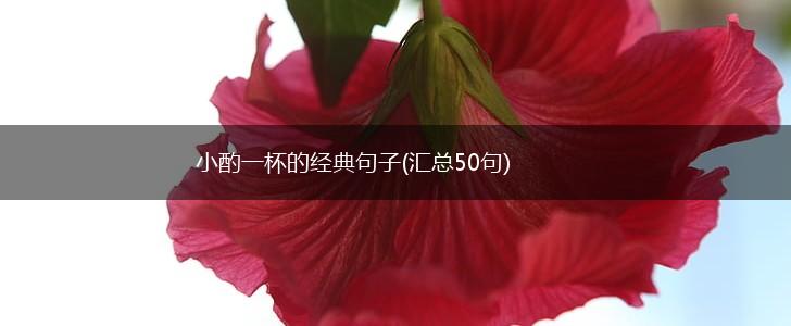 小酌一杯的经典句子(汇总50句),第1张