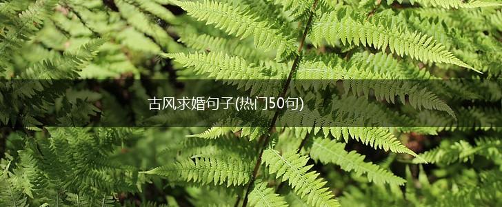 古风求婚句子(热门50句),第1张