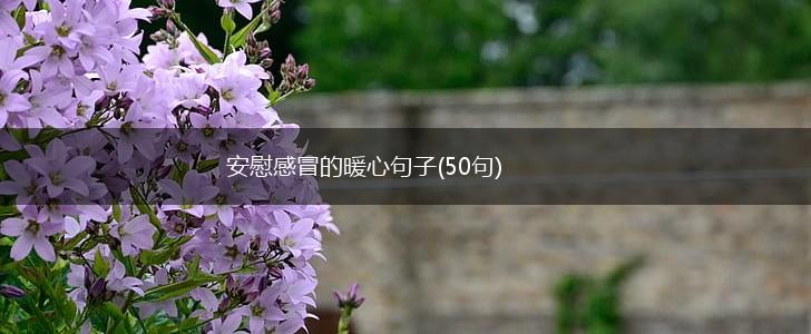 安慰感冒的暖心句子(50句),第1张