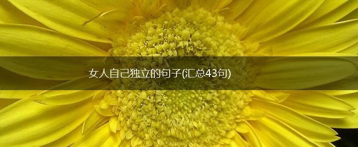 女人自己独立的句子(汇总43句),第1张