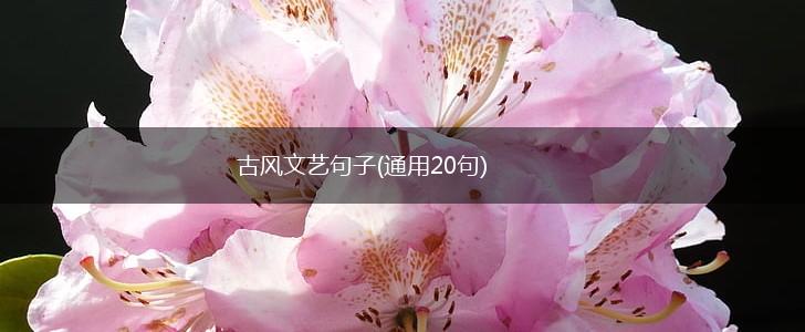 古风文艺句子(通用20句),第1张