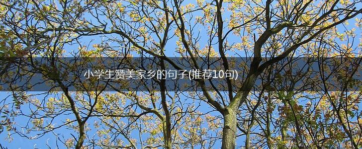 小学生赞美家乡的句子(推荐10句),第1张