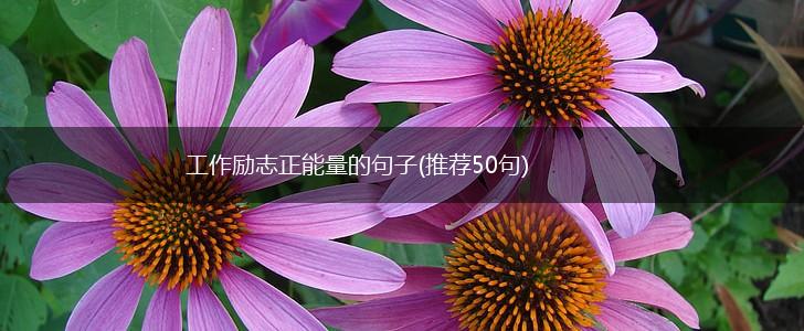 工作励志正能量的句子(推荐50句),第1张