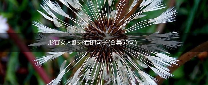 形容女人腿好看的句子(合集50句),第1张