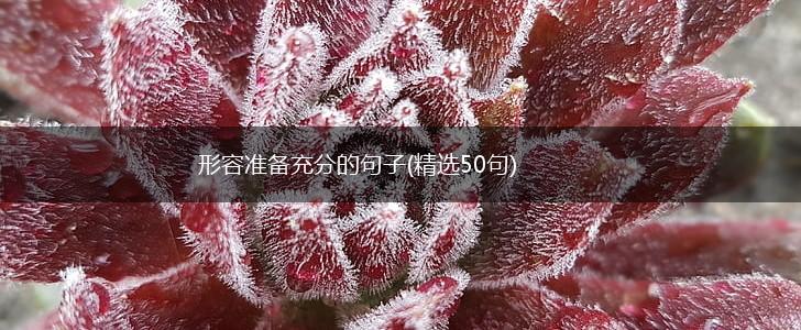 形容准备充分的句子(精选50句),第1张