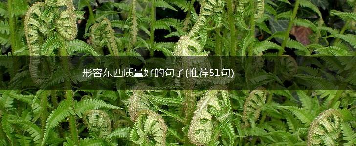 形容东西质量好的句子(推荐51句),第1张