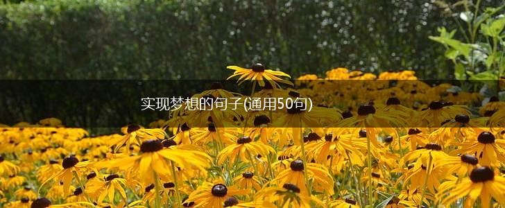 实现梦想的句子(通用50句),第1张