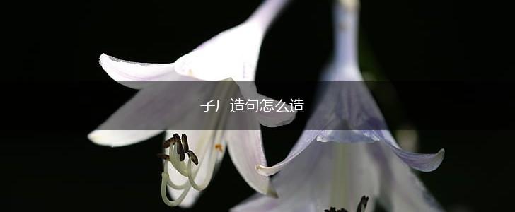 子厂造句怎么造,第1张