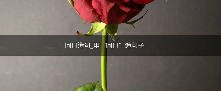 回口造句_用“回口”造句子,第1张