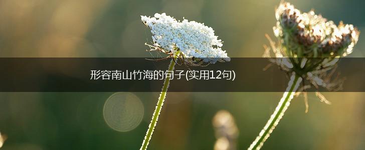 形容南山竹海的句子(实用12句),第1张