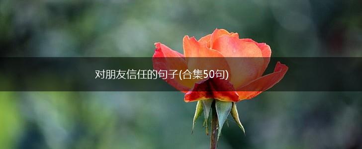 对朋友信任的句子(合集50句),第1张