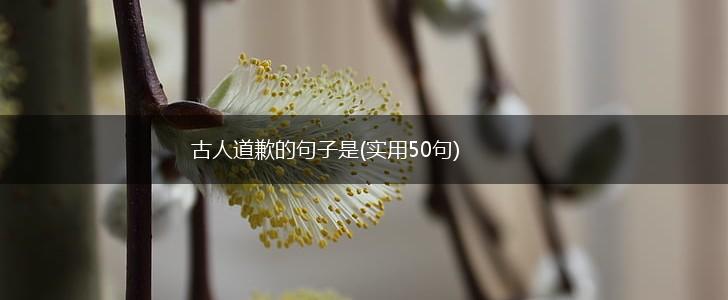 古人道歉的句子是(实用50句),第1张