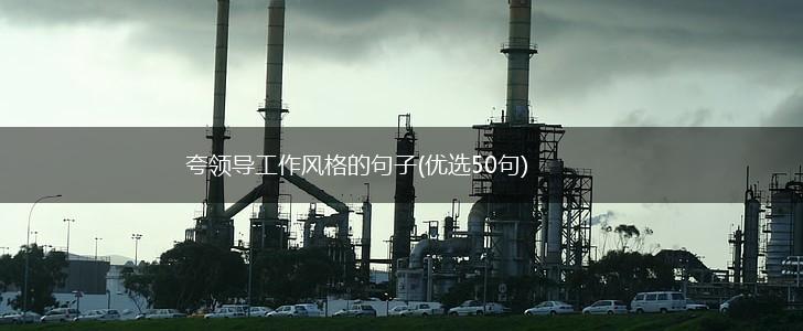 夸领导工作风格的句子(优选50句),第1张