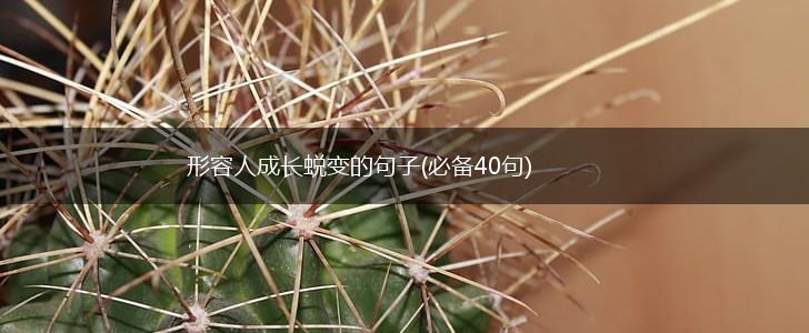 形容人成长蜕变的句子(必备40句),第1张